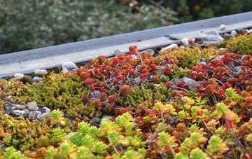 the cost of Zouch green roof installation