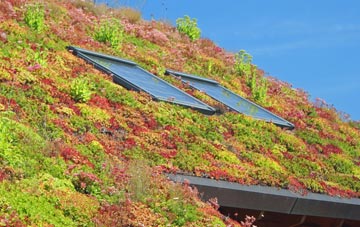 Zouch living roof systems